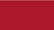 PLAST RUBY RED.PNG