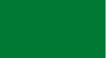 PLAST GREEN EXTRA I.PNG