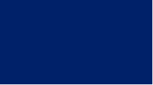 PLAST NAVY BLUE.PNG