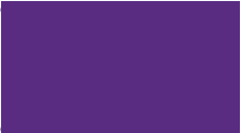 PLAST VIOLET.PNG