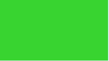 PLAST GREEN FLUOR.PNG